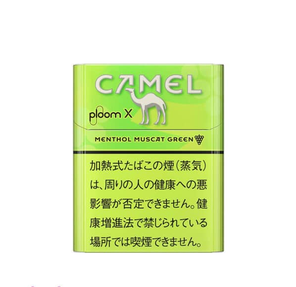 CAMEL駱駝